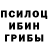 Псилоцибиновые грибы Psilocybine cubensis Jonathan Gunn