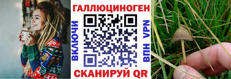 Псилоцибиновые грибы прущие грибы  гидра ссылки  Руза 